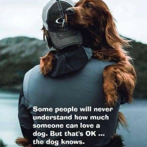 ❤️🫶🐶